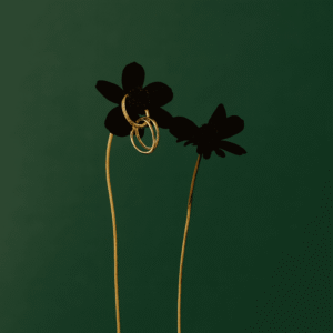 OxDxu4HzDnoqgDXKOuvFR0518Yo