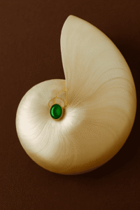 V8QNoQoJXgrbWcseLI1JtarKvM